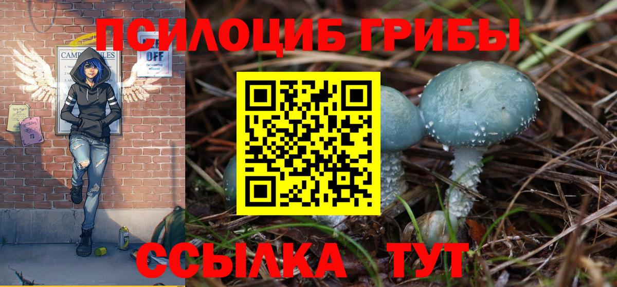 Галлюциногенные грибы прущие грибы Маркс