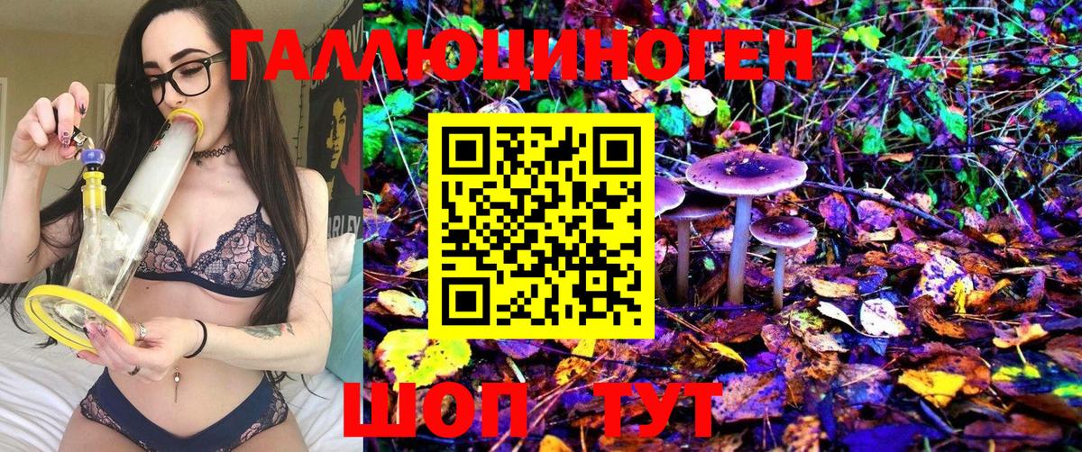 Галлюциногенные грибы Magic Shrooms  Вход с VPN  Маркс  Псилоцибиновые грибы Magic Shrooms 